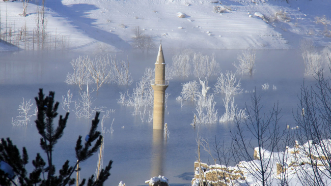 Sivas'ta su samuru görüntülendi